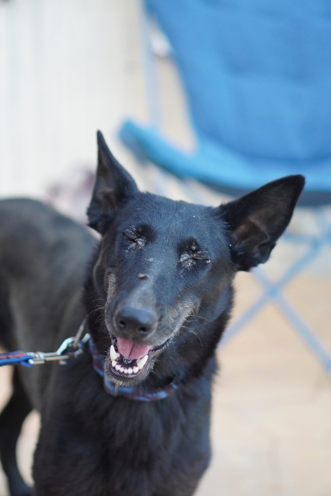 Pandora sonriendo